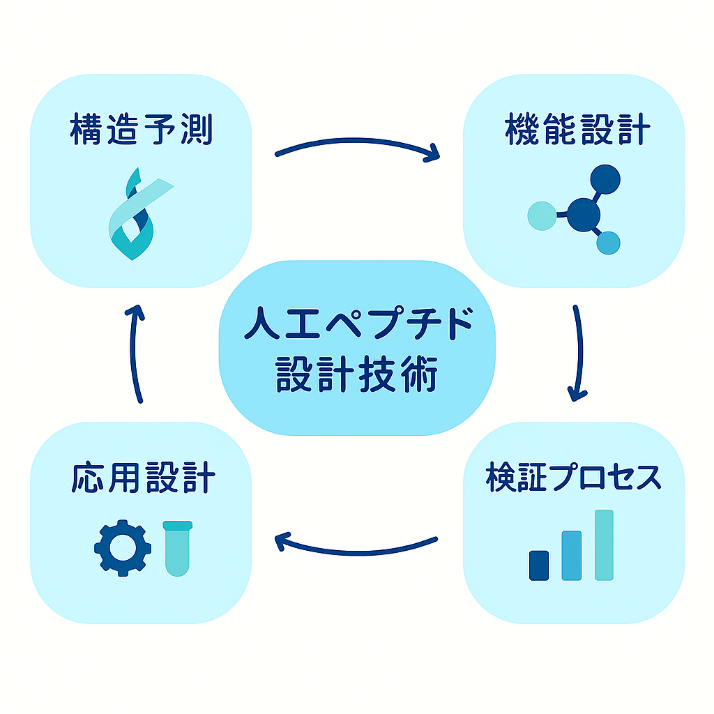 人工ペプチド設計技術の全体像を示す概念図。中央に「人工ペプチド設計技術」と記された円形ノードがあり、周囲に「構造予測」「機能設計」「検証プロセス」「応用展開」の4つの要素が均等に配置されている。各要素はアイコンとキーワード（例：ColabFold、OpenMM、膜透過性、加水分解、創薬、分光測定など）で視覚的に表現され、相互に矢印で接続されている。設計・予測・検証・応用が連携する技術体系を示す。