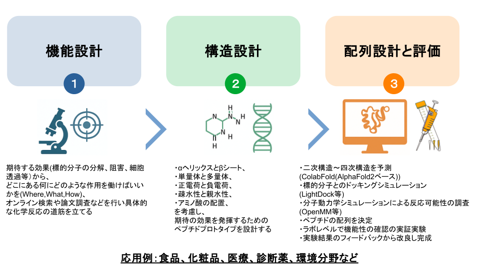 人工ペプチド設計による構造予測と機能設計の流れを示す図。健康寿命の延伸に向けた食品・医療・環境分野への応用を視覚化。