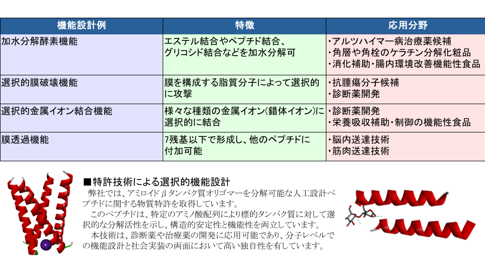 機能性ペプチドの分子設計例と応用分野を示す図。加水分解・選択的結合・輸送機能を持つペプチドの設計と医療・食品・環境分野への展開。