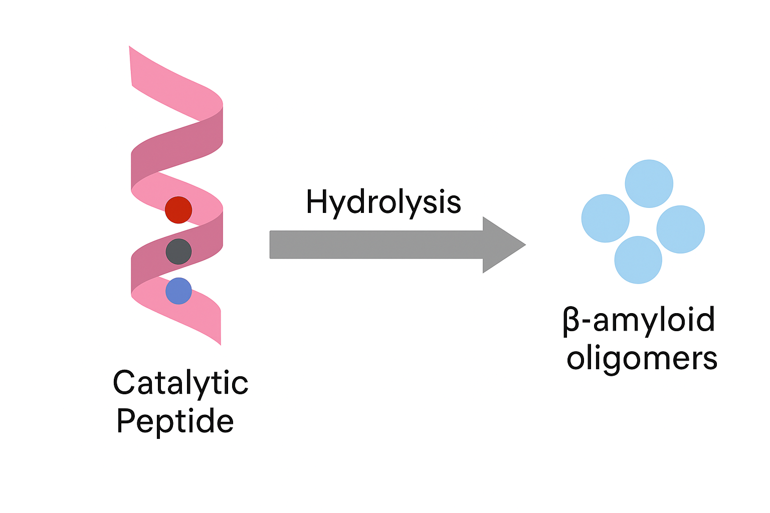 人工設計ペプチドの加水分解機構を示す模式図。左側に赤いαヘリックス構造のペプチドが描かれ、内部に触媒残基（His、Ser、Asp）を示す3つの色付き球が配置されている。右向きの矢印が電子授受を示し、右側には標的分子であるβアミロイドオリゴマーが紫色の連結球状構造として描かれている。分子認識と加水分解の流れを視覚的に表現した図。