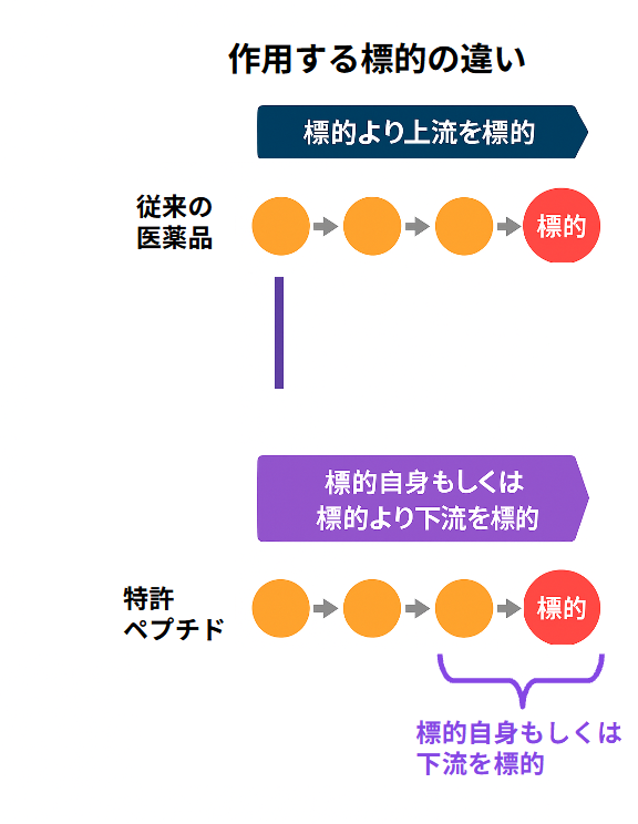 従来の医薬品は標的より上流を狙い、特許ペプチドは標的自身または下流を狙う作用点の違いを示す図